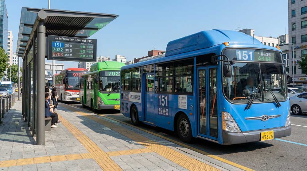 Seoul buses by color type at a bus stop